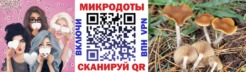 Купить закладки  Ржев  Псилоцибиновые грибы мухоморы 